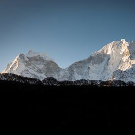 Silhouet van een Himalaya bos van Felix Kammerlander