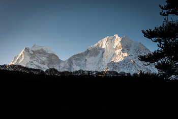 Silhouette de forêt himalayenne