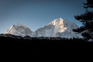 Silhouette de forêt himalayenne sur Felix Kammerlander