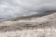 Hiking through the mountains | Armenia by Photolovers reisfotografie thumbnail