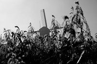 Kinderdijk 2