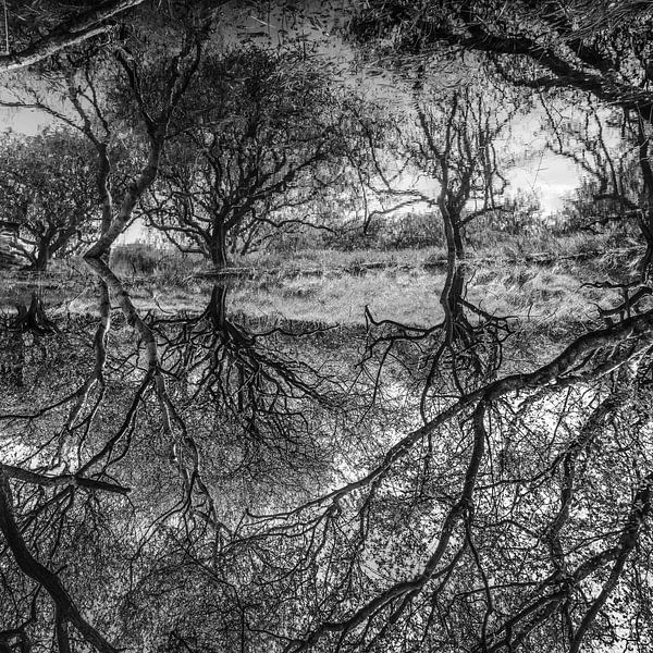Confusing Reflections - Amsterdam Water Supply Dunes by Rob Rollenberg