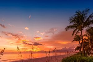 BONITA BEACH Romantic Sunset by Melanie Viola