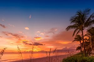 BONITA BEACH Romantischer Sonnenuntergang