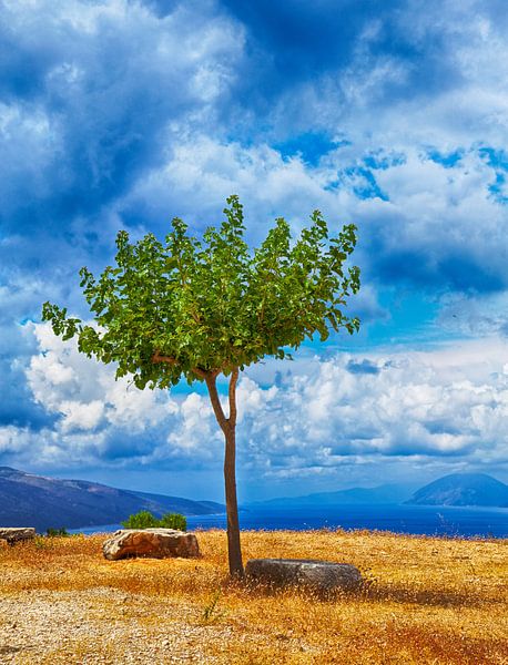 Near Panagia Agrilion Sami Kefalonia von Ruud Lobbes