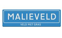 Malieveld The Hague.