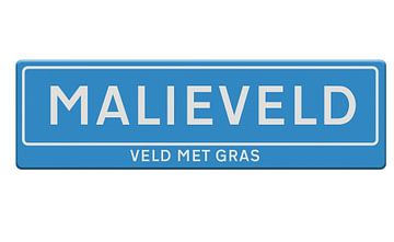 Malieveld Den Haag. van Grüntyers .