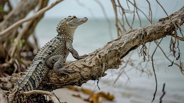 Krokodil op ontdekkingstocht op het strand van Klaus Tesching - Art-AI