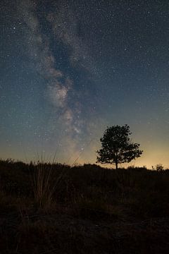 Sommer-Galaxie von Sjon de Mol