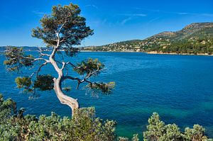 Cote d'Azur in Südfrankreich