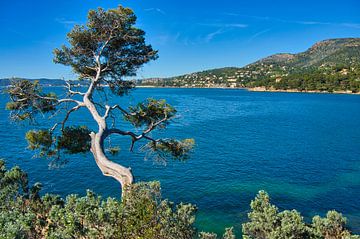 Cote d'Azur dans le sud de la France sur Tanja Voigt
