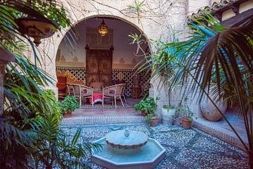 Moroccan splendour by Dick Carlier