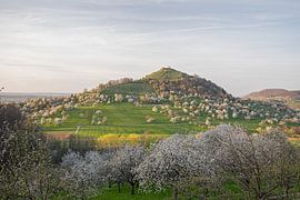 Limburg près de Weilheim an der Teck avec coucher de soleil et prés-vergers en fleurs au printemps sur Jiri Viehmann