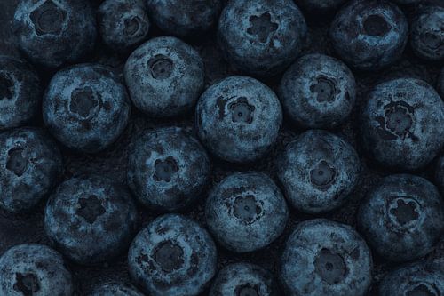 Blauwe bessen donkere achtergrond van Monique de Koning