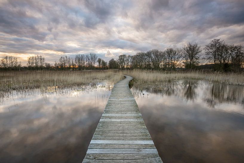 Beekbergerwoud by Frederik van der Veer