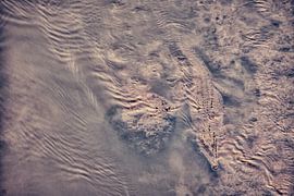 Abend am Fluss von Ron van Gool