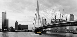 De Zwaan von Redroof Productions