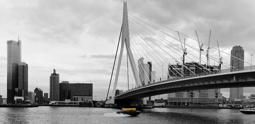 De Zwaan by Redroof Productions