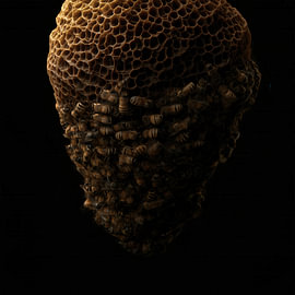 Beehive