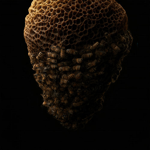 Beehive