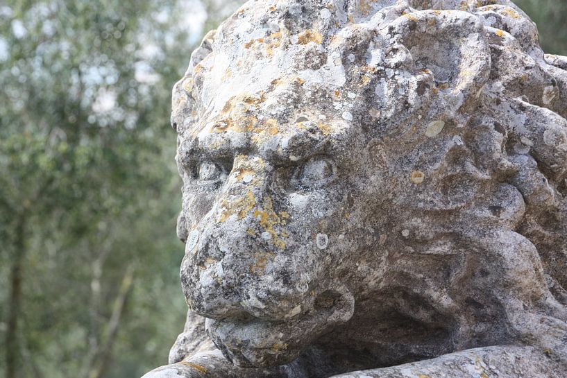 Stone Lion by Marianne van den Bogaerdt