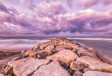 Einem pastellfarbenen Himmel entgegen streben von Joseph S Giacalone Photography