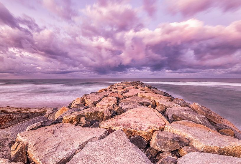 Reaching Towards A Pastel Sky by Joseph S Giacalone Photography