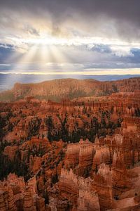 Sonnenstrahlen am Bryce