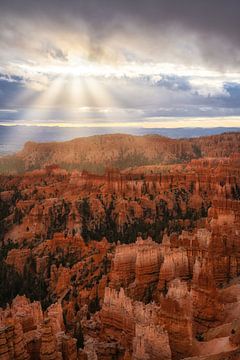 Sunrays at Bryce by Martin Podt
