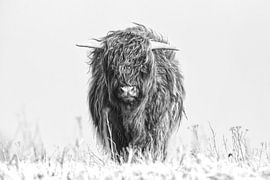 Wilde Weisheit (schwarz und weiß) von EG-Creations - Esther Gorlee