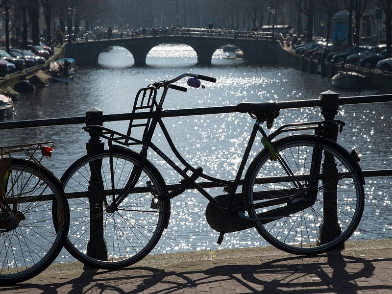 Fahrrad auf der Kette  von Barbara Brolsma