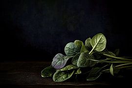 Épinards à l'ombre sur Franka Poulain