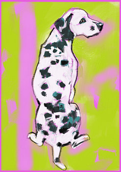 Dalmatiër in Neon