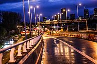 Flaneren over de A 13 | Rotterdam | 16-4-2016 van Shui Fan thumbnail