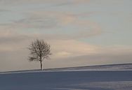 Baum in der verschneiten Landschaft von MSP Canvas Miniaturansicht