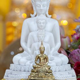 Meditation im Licht von Wat Phra That Sorn Kaew von Walter G. Allgöwer