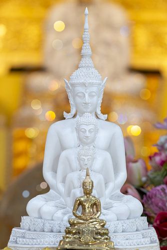 Meditation im Licht von Wat Phra That Sorn Kaew von Walter G. Allgöwer