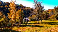 Landscape colors