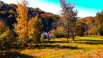 Landscape colors