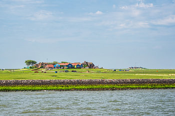 Häuser auf der Hallig Hooge in der Nordsee