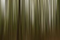 Wald... von Hans Kool Miniaturansicht