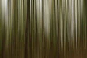 Wood... van Hans Kool