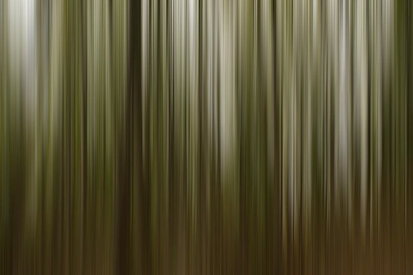Wald... von Hans Kool