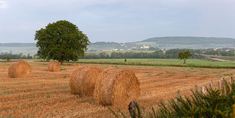 Morgen in Frankreich von Hegemann fotografie