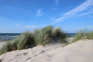 Dünenlandschaft