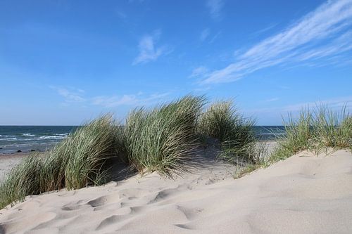 dunes