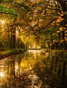 Reflexion von Herbstblättern und Bäumen in der flachen Wasseroberfläche von Margriet Hulsker Miniaturansicht