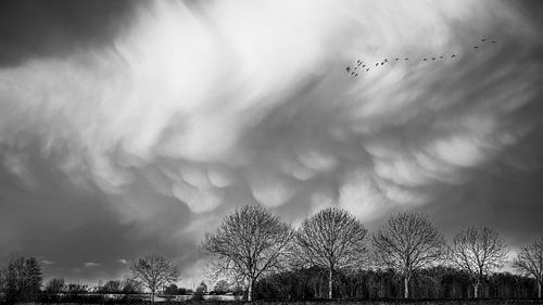 Mammatocumulus van Elke van Putten