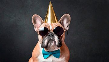 Party Hund mit Hut und Brille von Mustafa Kurnaz