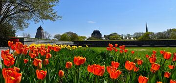 Parliament's gardens in spring by Claude Laprise